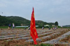 技校联合党委：党员亮身份树形象 争创五星“安全示范岗”