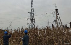 国网大庆供电公司：大同区老百姓用电终于有了“双保险”