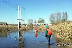 佳木斯供电公司：全力巡检线路设备，柳树岛全面恢复供电