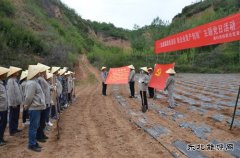 蒲白矿业技校联合党委：“党建+”引领产教融合“跑起来”