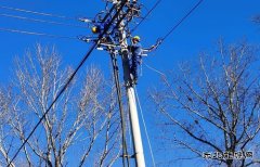 伊春供电公司：开展“党建+安全生产”特巡 确保冬季电网安全运行