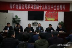 煤矿运营公司解放思想教育引发干事创业热潮