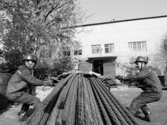 齐心协力（摄影作品）