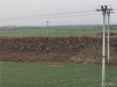 蒲白铁运公司：窗外那一片柔绿