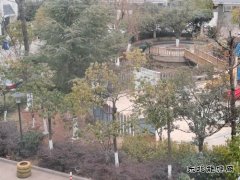 等待2021年第一场雪