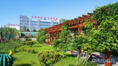 蒲白建庄矿业：懂得敬畏，才是真正强大的开始