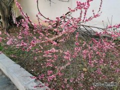 英皇体育的故事