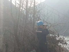 会泽娜姑供电所老营业点开展线路巡视防山火