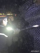 蒲白煤矿运营公司：这个队硬气，更“牛气”