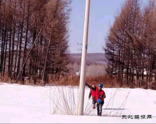 兴凯湖电业公司：最美人间三月天，踏雪巡线正当时