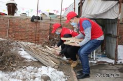 黑龙江大庆肇源县电业局：在“与爱同行”中传承雷锋精神