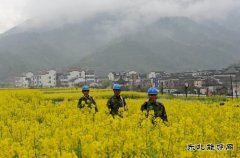 源县供电公司：积极备战 为油菜花旅游旺季提供可靠电力保障