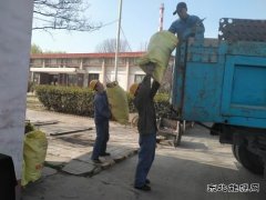 陕煤蒲白热电公司：环境清理小切口  共绘文明创建大美图