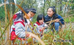 在林间挥洒青春汗水