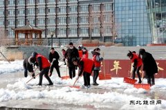 兴凯湖电业公司：“学党史 办实事”铲冰除雪暖人心