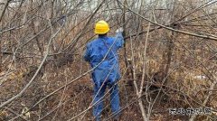 伊春供电公司：多措并举打出森林草原防火组合拳