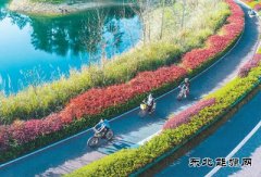 全国植被生态质量达20年来最高