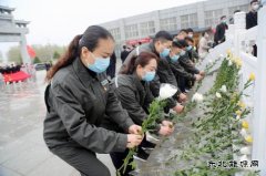 太康县供电公司：清明祭英烈 精神永传承