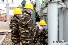 黑龙江兴凯湖电业公司：“党建+春检”筑牢供电安全防护网