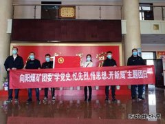 向阳矿团委组织开展“学党史、忆先烈”主题团日活动
