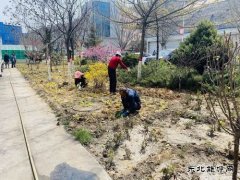 陕煤陕北矿业涌鑫公司：添绿抖尘  矿区处处展“新颜”