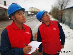 国网大兴安岭供电公司：雪后特巡 保电在行动