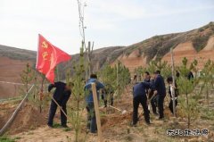 陕煤陕北矿业涌鑫公司：争做党史学习“领头雁”