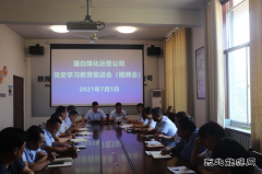 蒲白煤化运营公司 召开党史学习教育推进会