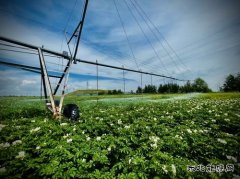大唐呼伦贝尔英皇体育公司顺兴煤矿生产惠及谢尔塔拉农场