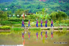  那些年、这些年，李庄的用电事儿……