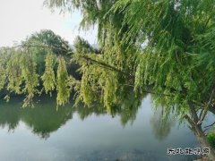 三元钱能买到什么？