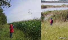 国网黑龙江大庆安达供电公司：艰难巡线路