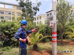 会泽供电局：金钟供电所开展保命教育培训提升业务技能