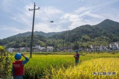 江西婺源：无人机为电力巡线插上“翅膀”
