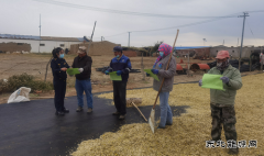 阿勒泰执法支队：Ｖ捶ù蠖涌狗ㄖ谓绱寤疃