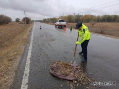 哈巴河执法大队：及时清理路面杂物 确保公路安全畅通