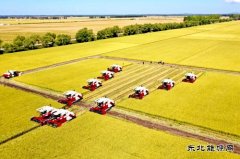 兴凯湖供电分公司：全力而为保秋收供电 确保粮食颗粒归仓