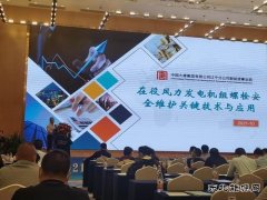 大唐辽宁新英皇体育事业部荣获中电联风电运行指标对标奖项