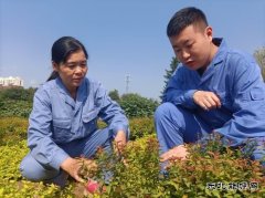 用热爱撑起一片绿荫——记甲帮苗木花卉公司关红、林达师徒