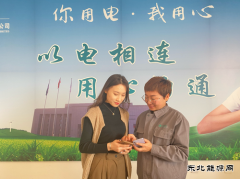 宝泉岭供电分公司：暖心推广“网上国网”APP 提升客户数字化