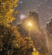 渭北之地的初雪