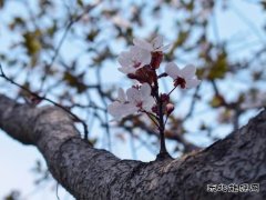 少年不惧岁月长