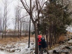 宝泉岭供电公司：齐心协力战冰雪 热血融冰映初心