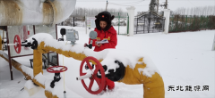 辽河油田沈阳采油厂 迎战风雪全力保供