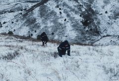 辽宁新英皇体育事业部：暴风雪中全力保供