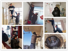 蒲白马南社区：【我为群众办实事】供暖“救援”的最高评价