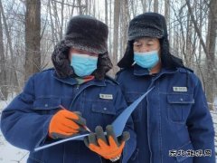 大兴安岭供电公司：极寒来袭 供电员工四项措施确保电网安全运行