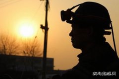 摄影：逆着光 心向阳