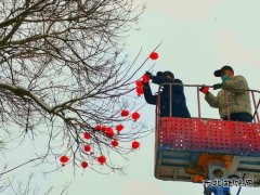 蒲白中心社区：雪打灯笼迎新年 美丽蒲白年味浓