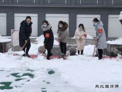 蒲白矿业技校联合党委：党员除雪当先锋 志愿服务打头阵